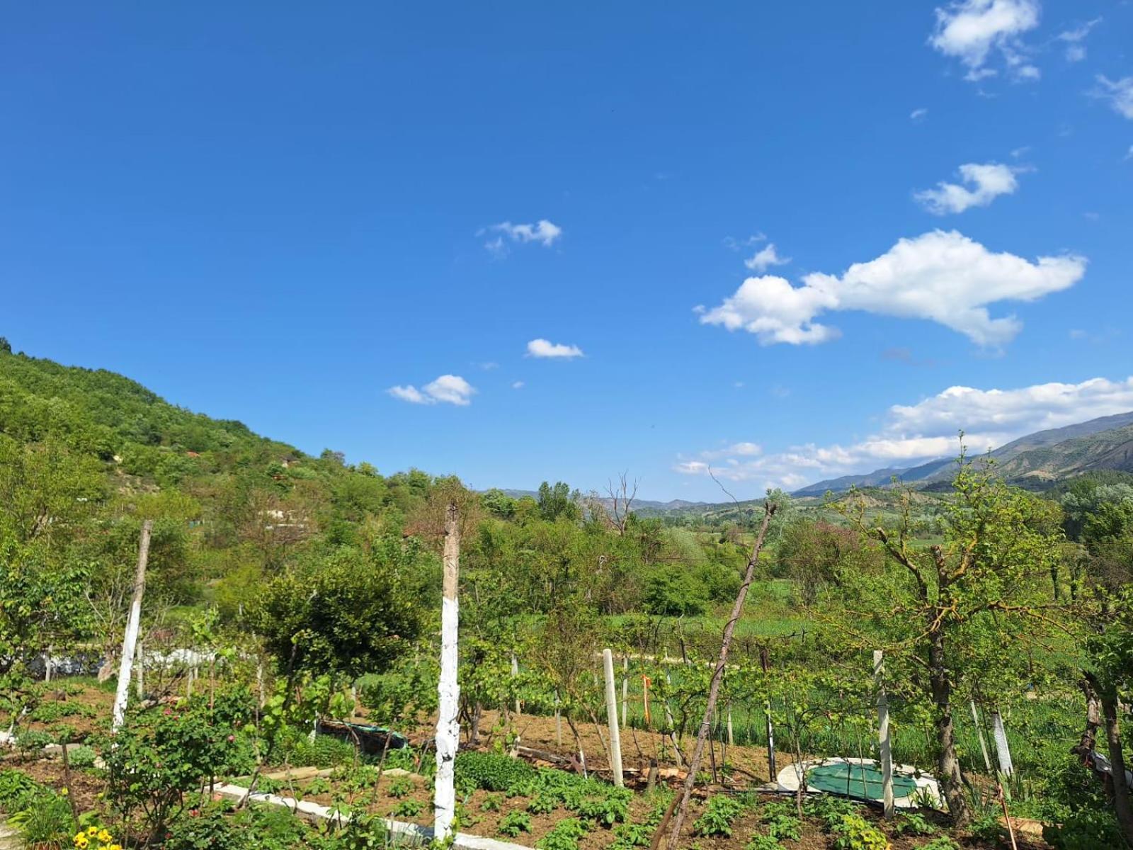 Spring Village Home Permet Bagian luar foto